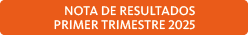 Nota de Resultados Primer Trimestre 2025